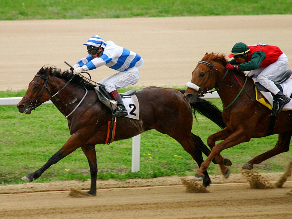 Betting on Races Online: Pros and Cons